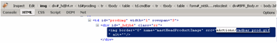 Branding Firebug
